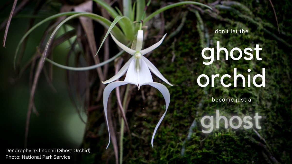 RAWA has 10 new cosponsors, and we're not done!  Contact your senators (👇) to support RAWA today.
support.nwfactionfund.org/page/46939/act…
Thank you
<a href="/SenStabenow/">Sen. Debbie Stabenow</a>
<a href="/SenatorCollins/">Sen. Susan Collins</a>
<a href="/SenatorCarper/">Senator Tom Carper</a>
<a href="/LindseyGrahamSC/">Lindsey Graham</a>
<a href="/SenJackyRosen/">Senator Jacky Rosen</a>
<a href="/JerryMoran/">Senator Jerry Moran</a>
<a href="/SenatorTester/">Archive: Senator Jon Tester</a>
<a href="/JohnBoozman/">Senator John Boozman</a>
@SenatorSinema
<a href="/SenTedBuddNC/">Senator Ted Budd</a>