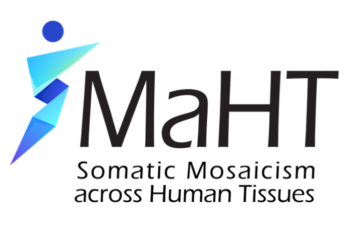 nygenome's tweet photo. Two research teams at the New York Genome Center were selected to receive grants under @NIH Common Fund @SMaHTnetwork. Learn more about the projects funded by the new grant: https://t.co/Oq8pQoj5yf https://t.co/SnRrMPtmHW