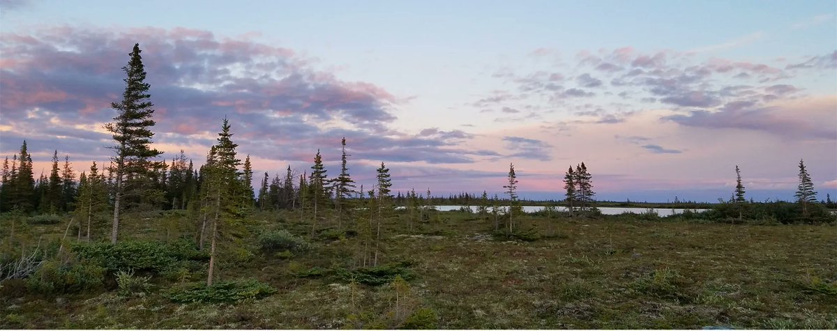 FACETS Journal (@facetsjournal) on Twitter photo New 📄 | Snow, ponds, trees, and frogs: how environmental processes mediate climate change impacts on four subarctic terrestrial and freshwater ecosystems. Read it here 👉 buff.ly/3pzMw3m <a href="/MatthewQmar/">Matt Q Morison</a> <a href="/NoraCasson/">Nora Casson</a> ❄️ 🌳 🐸
Read the PLS here: buff.ly/3BjL1ZK New 📄 | Snow, ponds, trees, and frogs: how environmental processes mediate climate change impacts on four subarctic terrestrial and freshwater ecosystems. Read it here 👉 buff.ly/3pzMw3m <a href="/MatthewQmar/">Matt Q Morison</a> <a href="/NoraCasson/">Nora Casson</a> ❄️ 🌳 🐸
Read the PLS here: buff.ly/3BjL1ZK