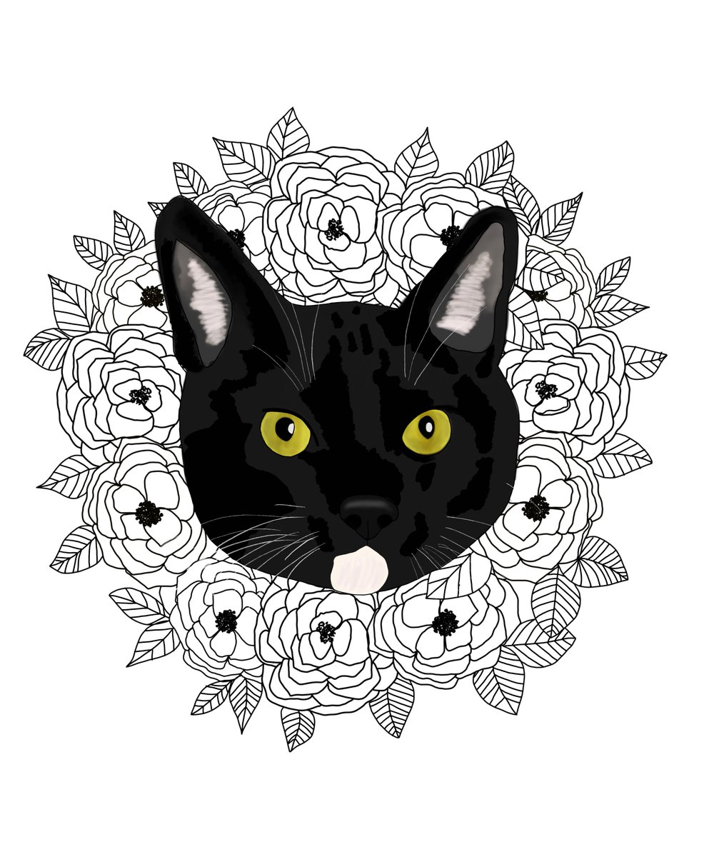 We are about to launch some custom stickers! Want to vote on the design? Become a Patron! patreon.com/BlackCatRescue… Each tier of membership comes w/different perks, from exclusive content and die-cut stickers to limited edition Bonfire t-shirts and pre-party invites thru the year.