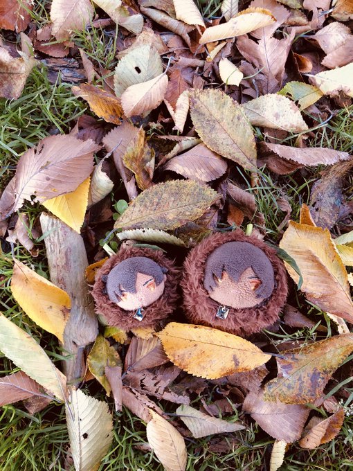  おれがそだてた