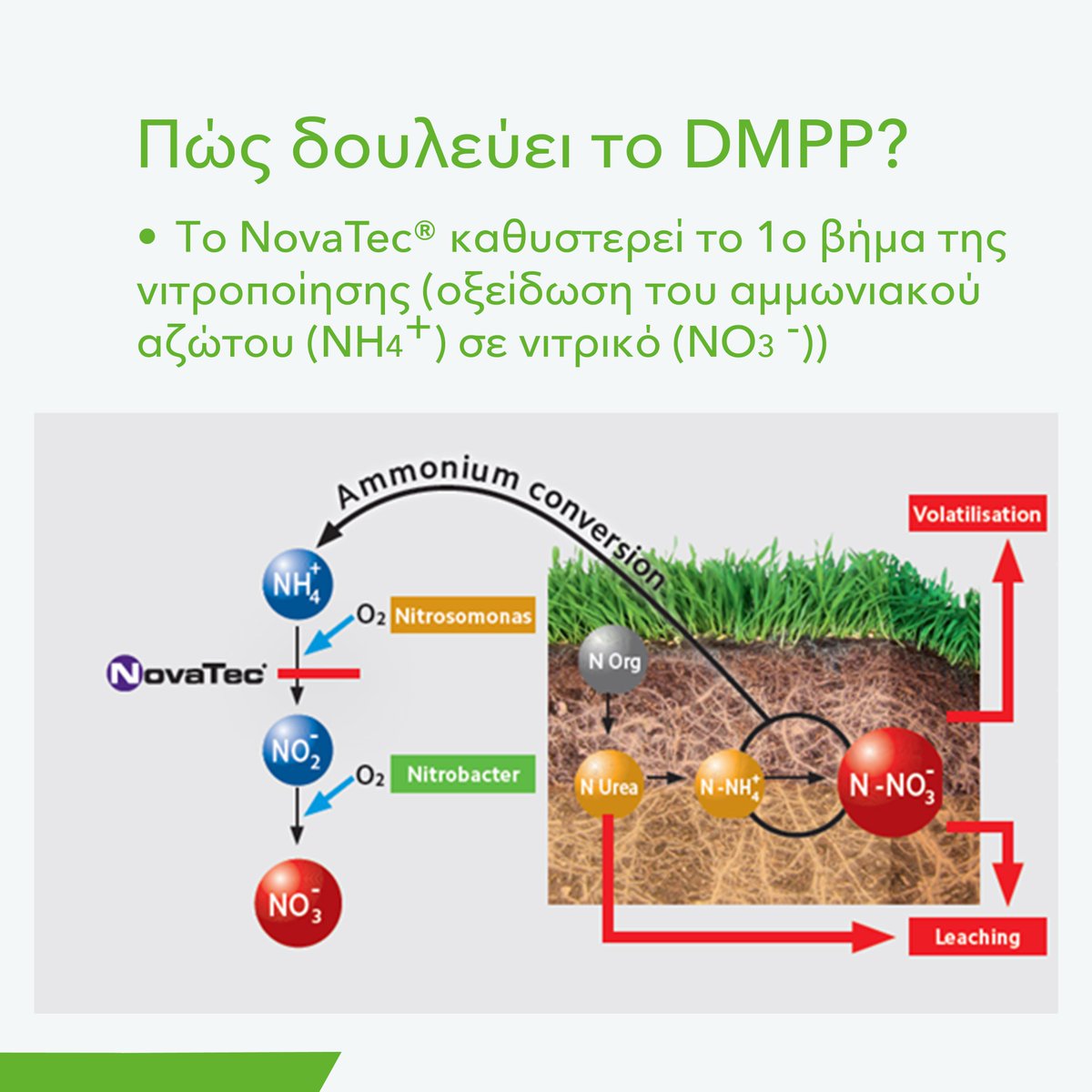 COMPOEXPERT_GR's tweet photo. 🌱One of the first technologies we introduced is NovaTec® #technology with nitrification inhibitor DMPP
✅ NovaTec® slows down the leaching of ammonium nitrogen into nitrate nitrogen, ensuring maximum utilization of the available nitrogen from the crop
#compoexpert #fertilizer https://t.co/80Gu5ORxsr