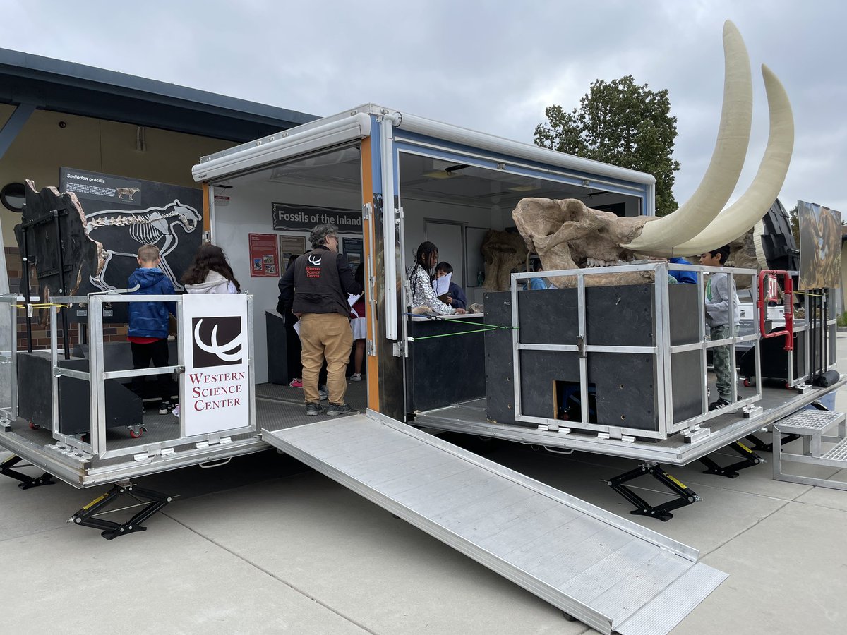 Max Mastodon tweet media