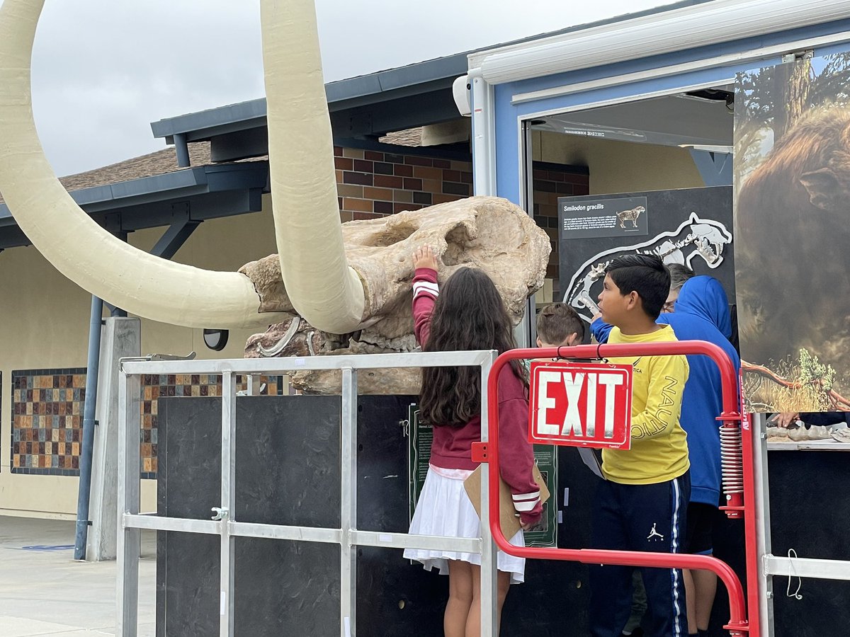 Max Mastodon tweet media