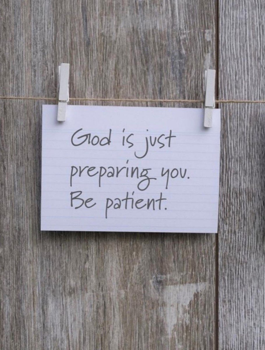 wise_chimp's tweet image. Be patient