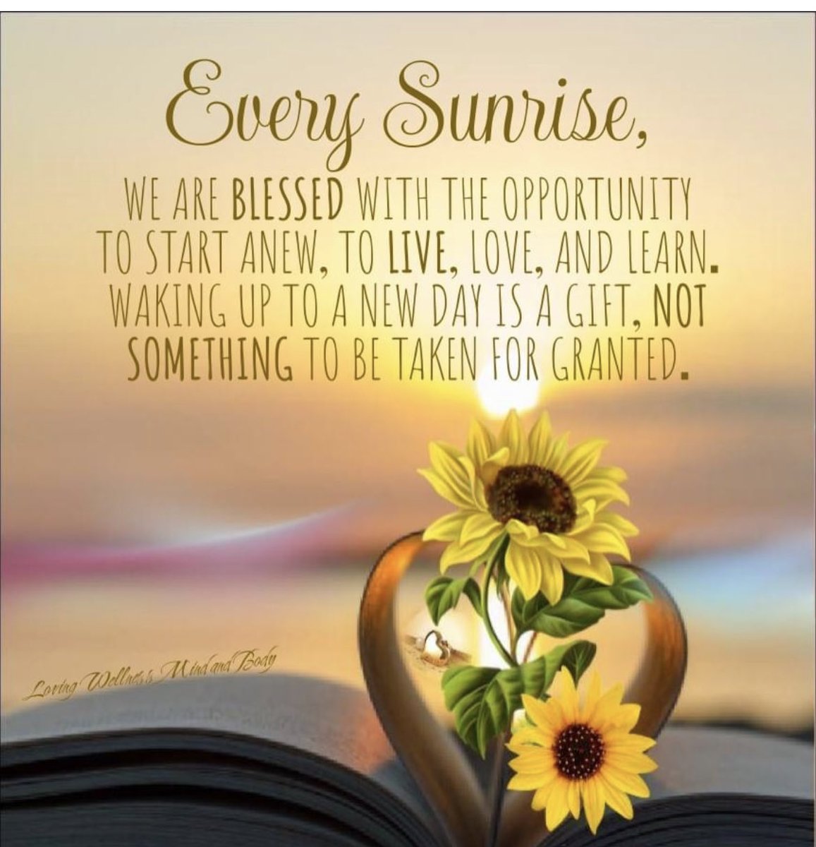 PositiveAndrea 🌻🌻 (@positiveandrea) on Twitter photo 