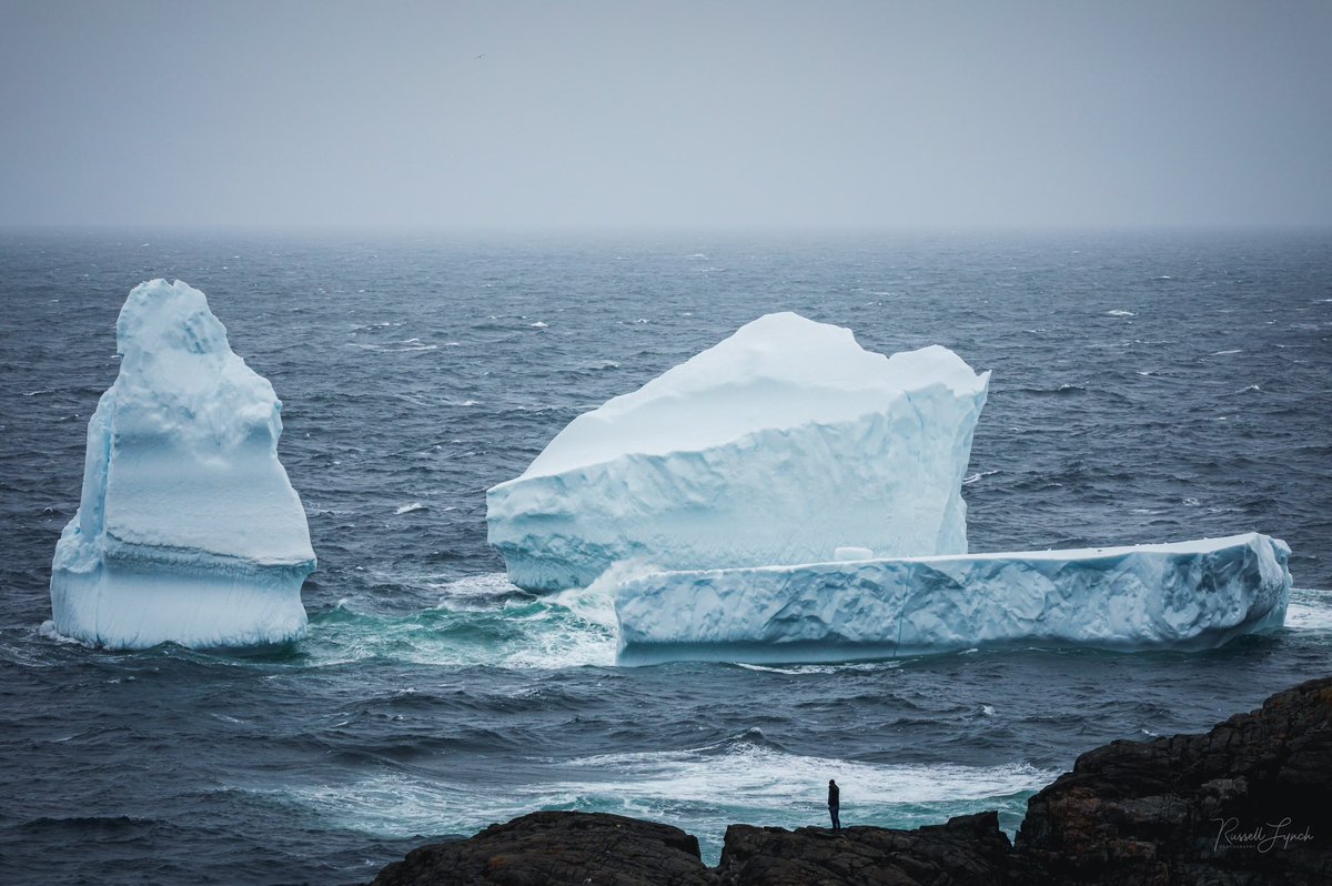 Russell Lynch Photography tweet media