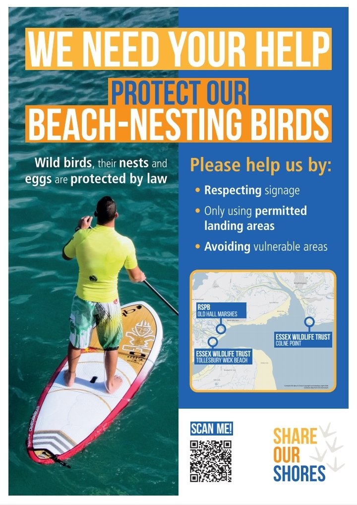 Love watersports? Please help us spread the message of wildlife responsible behaviour by talking to your friends. You can email us on: info.essex@birdaware.org for more. Thank you 🙏🐦💦 #paddleboarding #canoesport #sailing #shareourshores #sharethelove #outdoors #watersports