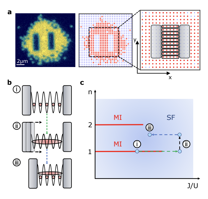 qoqms's tweet photo. New preprint out by members of the group @CallumWDuncan and @quantum_daley along with colleagues at @strathEQOP:

"Commensurate and incommensurate 1D interacting quantum systems"

https://t.co/wdr2X1QBMX https://t.co/7TCH1SPGA4