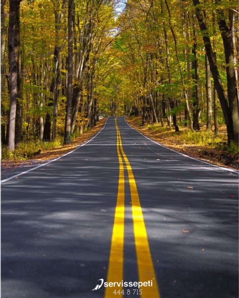 🚍🫶🏻 
Bireysel ve kurumsal, servis ve tur talepleriniz için buradayız web sitemizden, uygulamamızdan fiyat teklifi alın. Kolayca aracınızı kiralayın. 
servissepeti.com 
444 8 715
#seyahat #travel #travelphotography #gezgin #nature #tatil #holiday #travelgram #yol #yollar