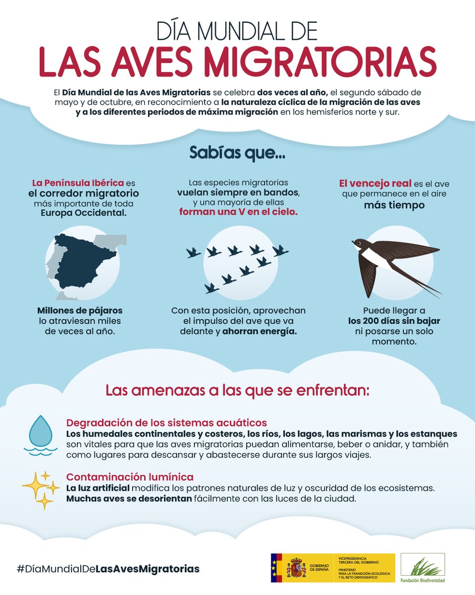🗺️ La Península Ibérica constituye el principal corredor migratorio de toda Europa occidental.

🪶 Millones de aves la atraviesan 2 veces al año.

#DíaMundialDeLasAvesMigratorias #DíaDeLasAvesMigratorias