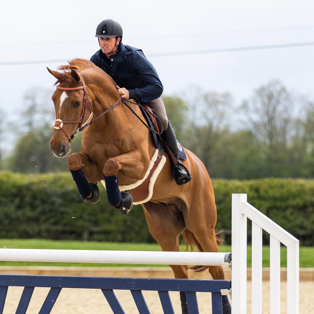 I am honoured to be welcomed into the <a href="/Hermes_Paris/">Hermès</a> partner riders’ family and I am very excited for this new journey.

Pictures by Madeleine D. Bergsjo

#hermes #hermessellier