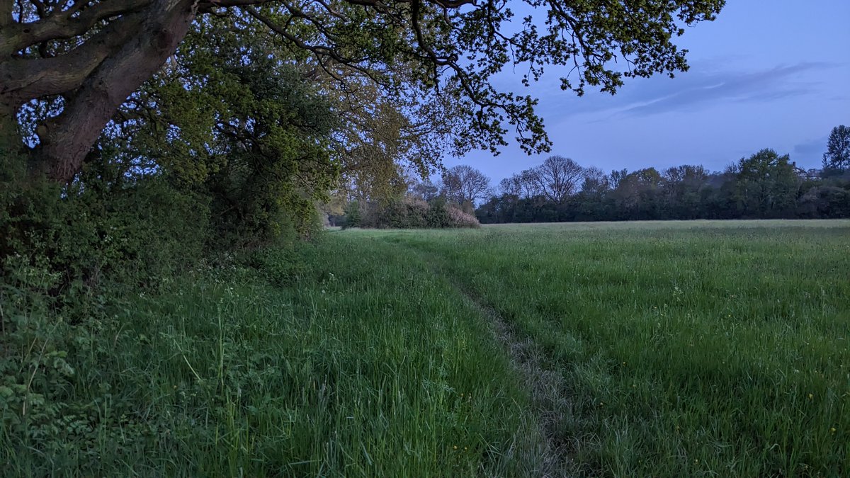 Lewis Winks tweet media