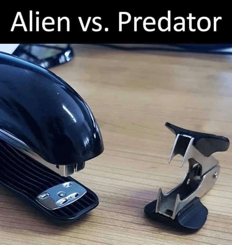 KarmaKittn tweet media