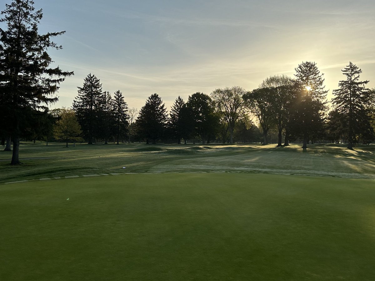 FCC_Grounds's tweet photo. Beautiful start to the day!
And loving those deep roots!! https://t.co/7O6W5KTvkk