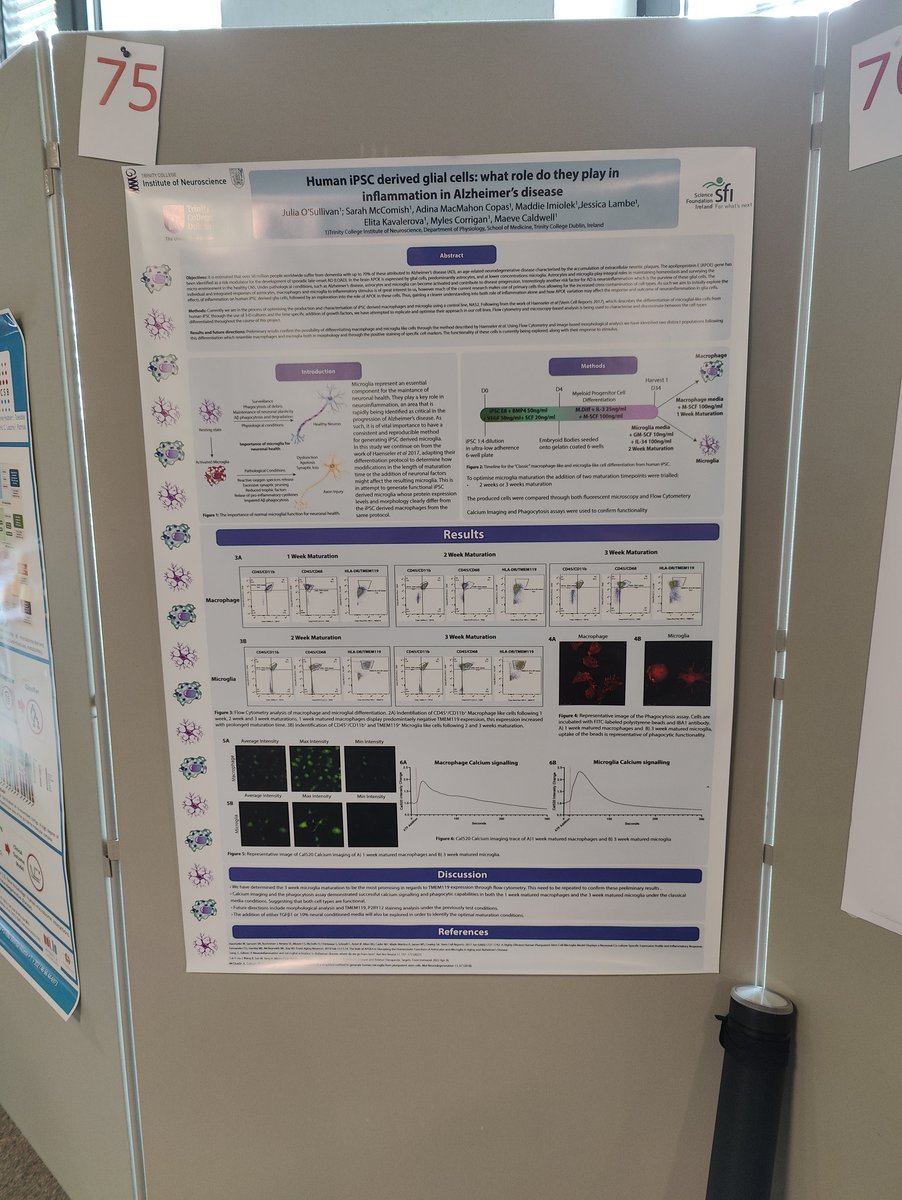 JroseOSullivan's tweet photo. Representing the Caldwell lab at the 7th Venusberg on Neuroinflammation conference in Luxembourg @TCDPhysiology https://t.co/B3qG44PRUb