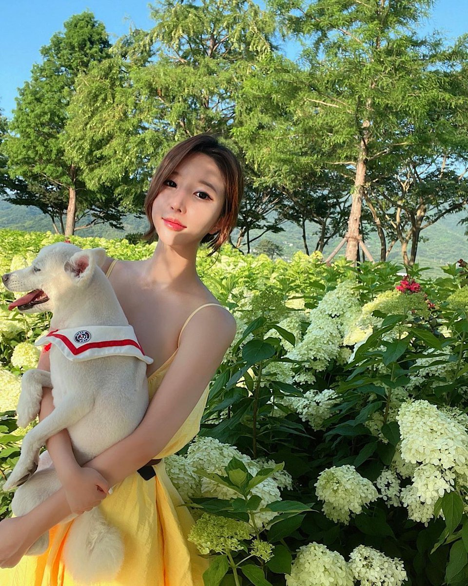 The seemingly fragmented fragments of life are a secret tunnel to a happy planet.