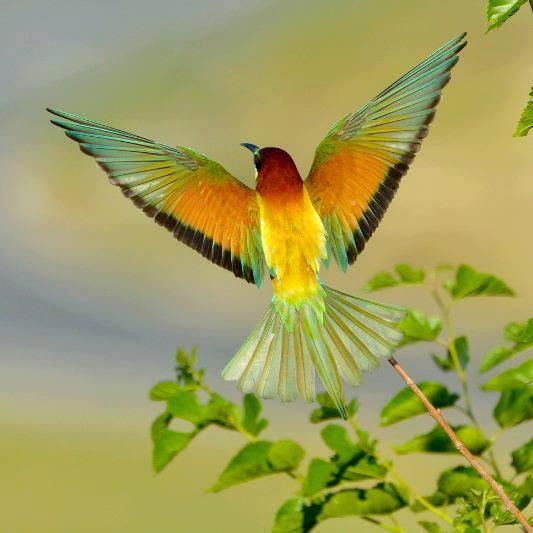 فَهُنـ’ـاآك أشيآء لآ نَدري مـ’ـاآ هي ، تأتينآ فجأة وتَجعلنا تَائهِين حَتَّى عن أَنفسِنَا !