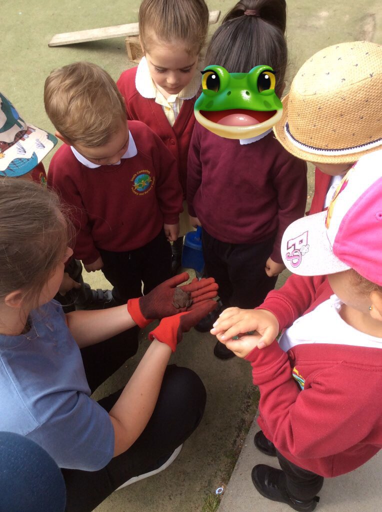NurserySouthCam's tweet photo. Look who was hiding under our mud kitchen in the Nursery garden today. He was having a #toadtastic time saying hello to all of his new friends before he hopped off on his safe travels. #RibbitRibbit #ToadsOfTwitter #WeLoveSouthCamberley https://t.co/FhMpdl5mUM