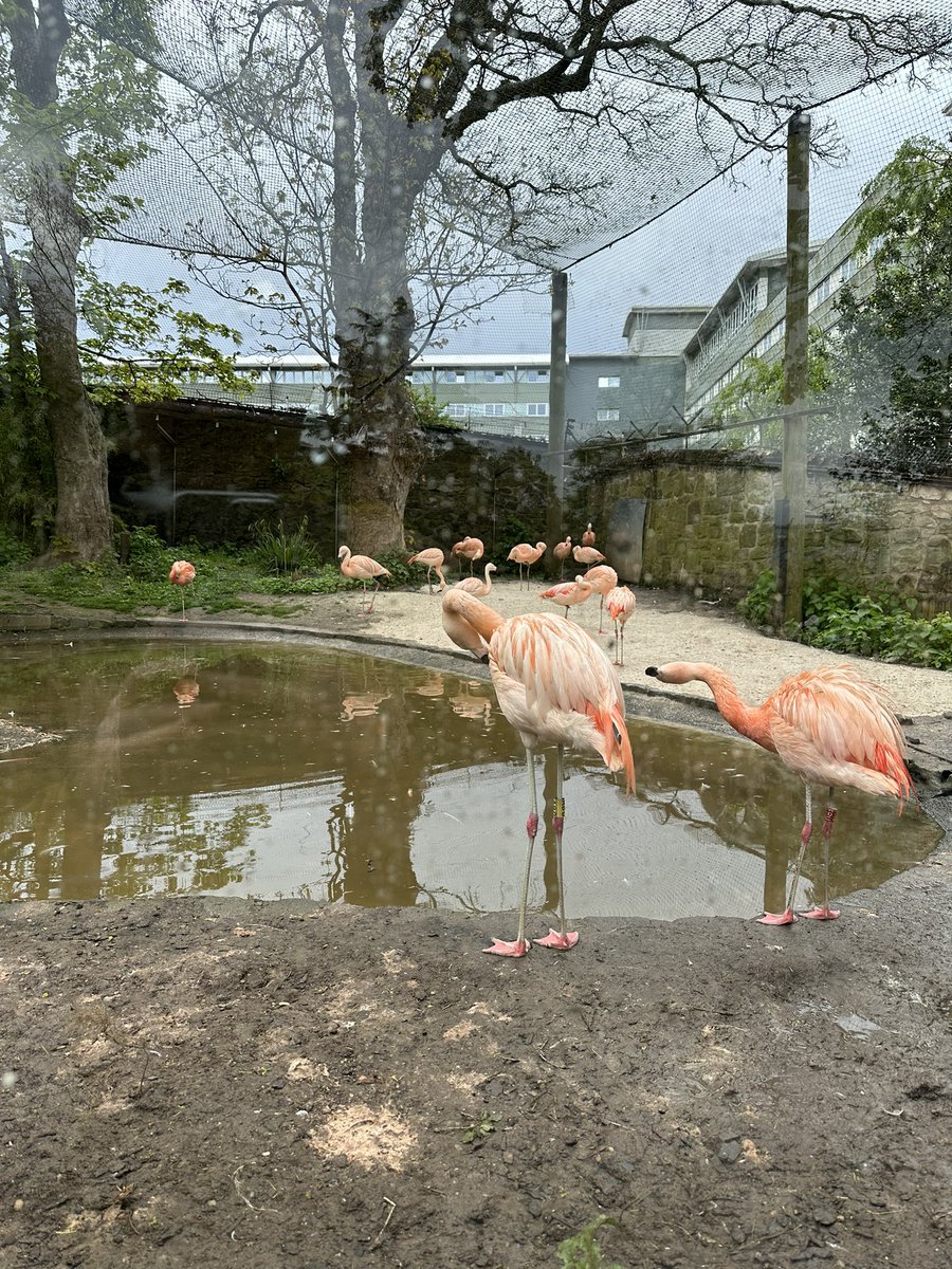 Sam Clift tweet media