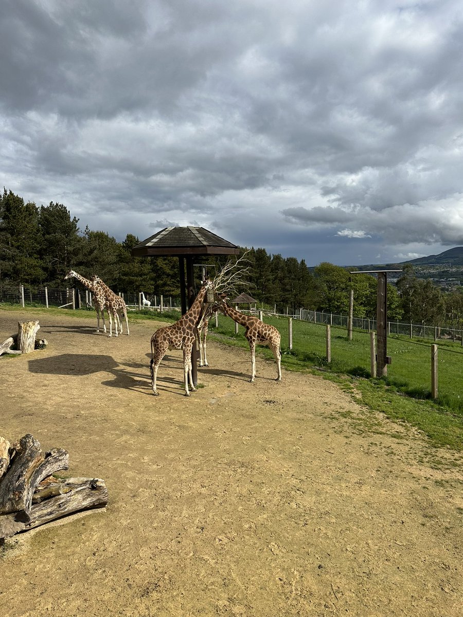 Sam Clift tweet media