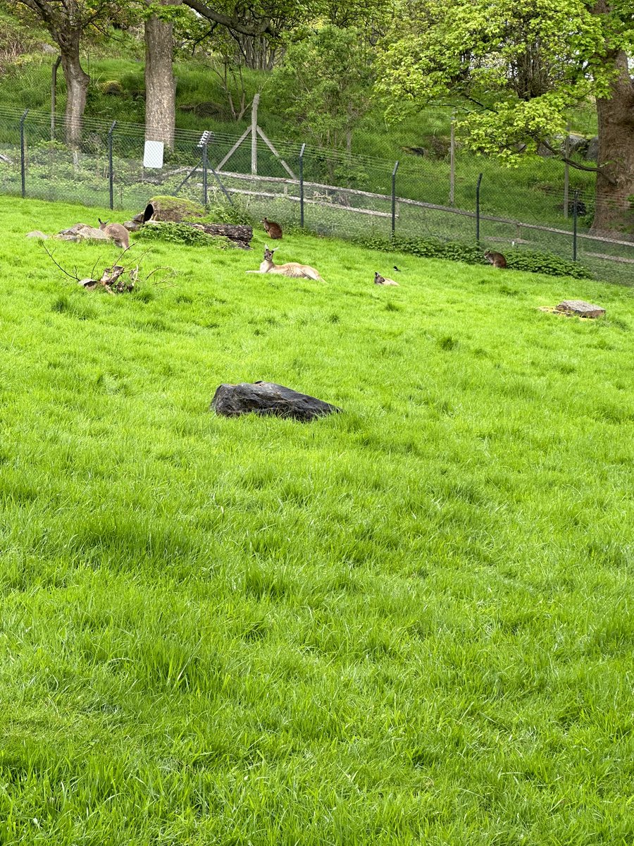 Sam Clift tweet media