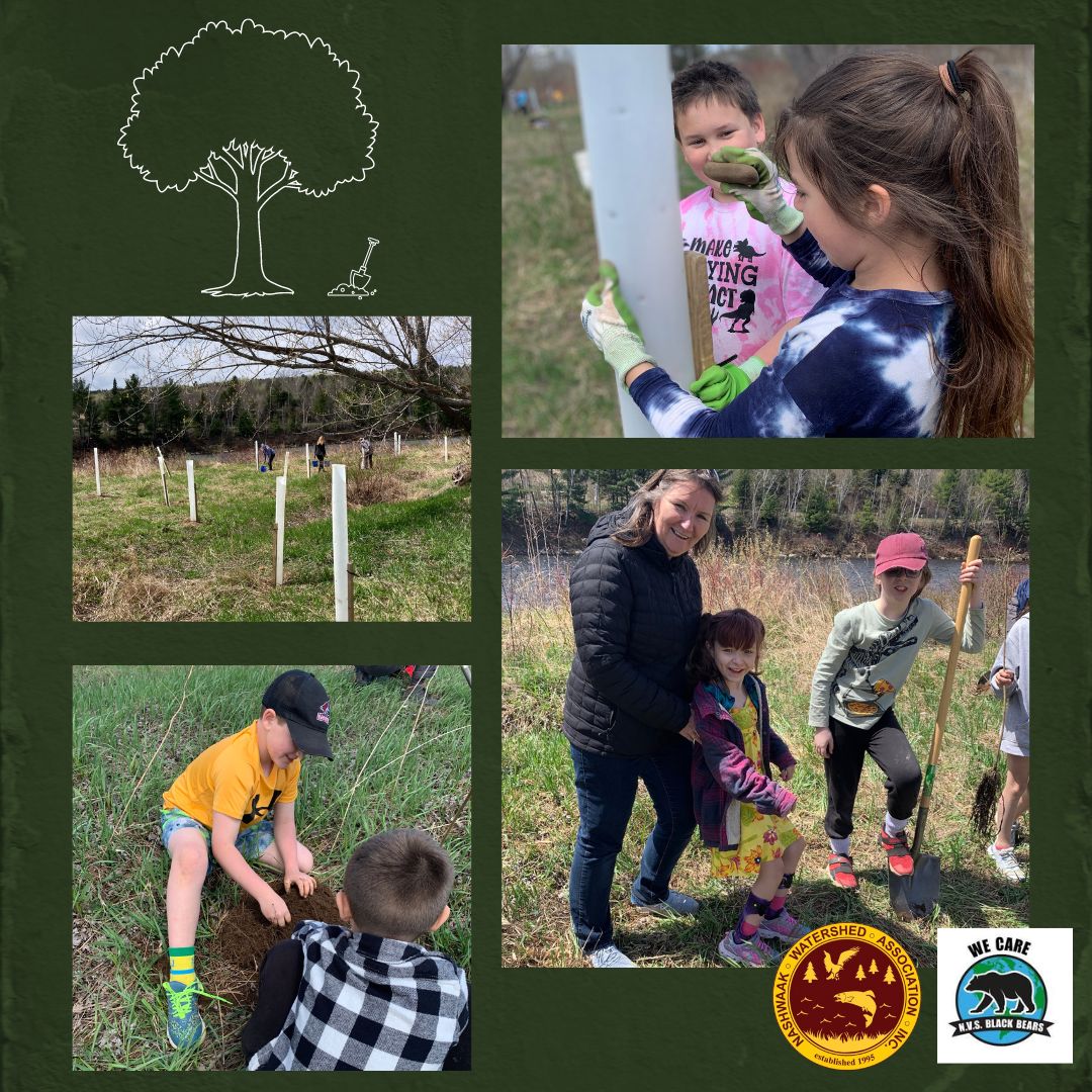 NashwaakWater's tweet photo. First tree planting of 2023! The NWAI team and the amazing grade 4s from Nashwaak Valley School planted 45 endangered butternut along the banks of the river. Something really special lives in that small community ๐ณ๐ #treeplanting #endangeredspecies #kidsmakingadifferenceโค๏ธ https://t.co/b4GakXounM