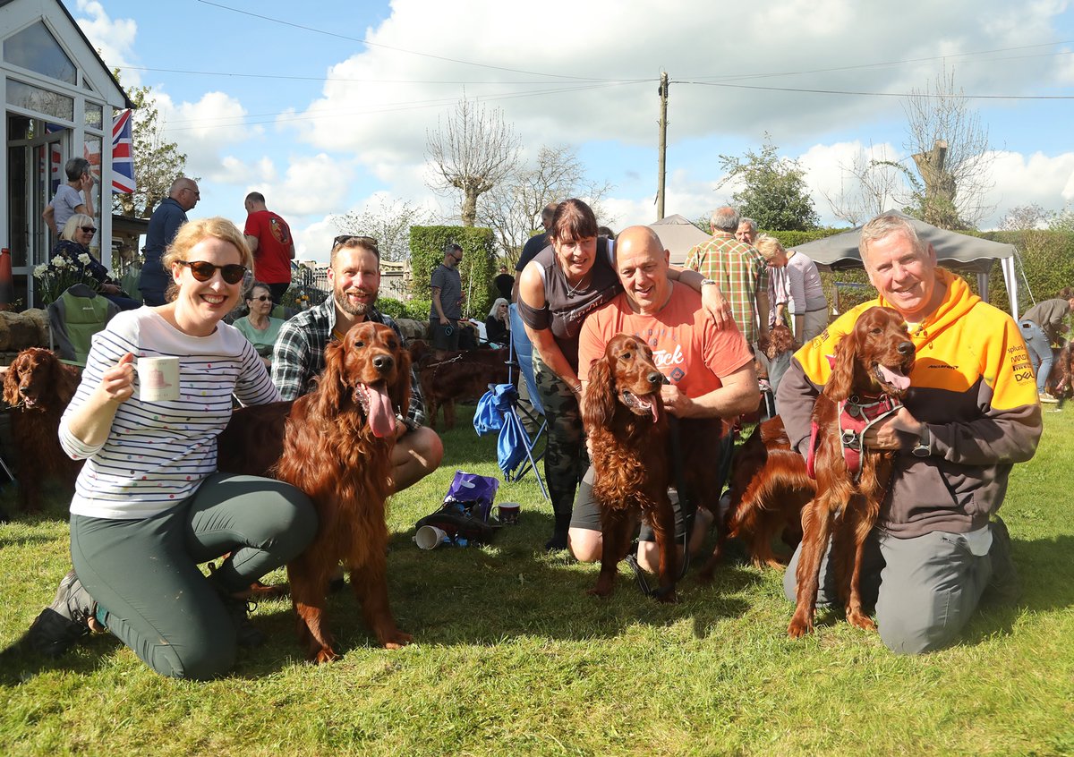 Mark1Systems's tweet photo. Our main man, Paddy, had a fun day at the weekend, dragging Mark on a lovely walk with some of his Irish Setter friends. 

Our Head of Emotional Support looks as gorgeous as ever.

#Mark1Systems #Paddy #IrishSetter #HeadOfEmotionalSupport https://t.co/gxPmICEMol