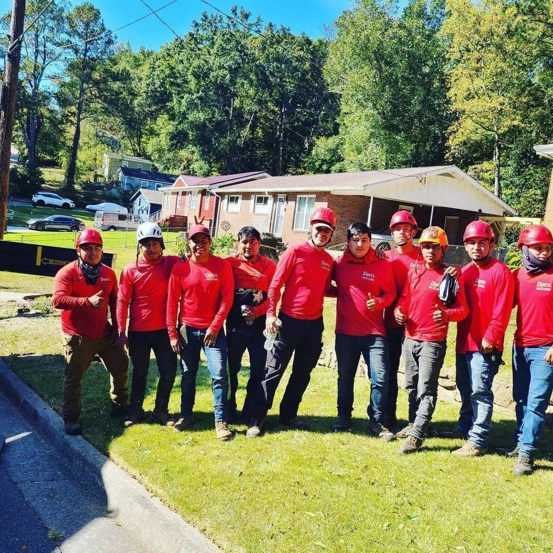 DonsTreeSvc's tweet image. Have a wonderful day! #donstreeservice #treeservice #atltreeservice