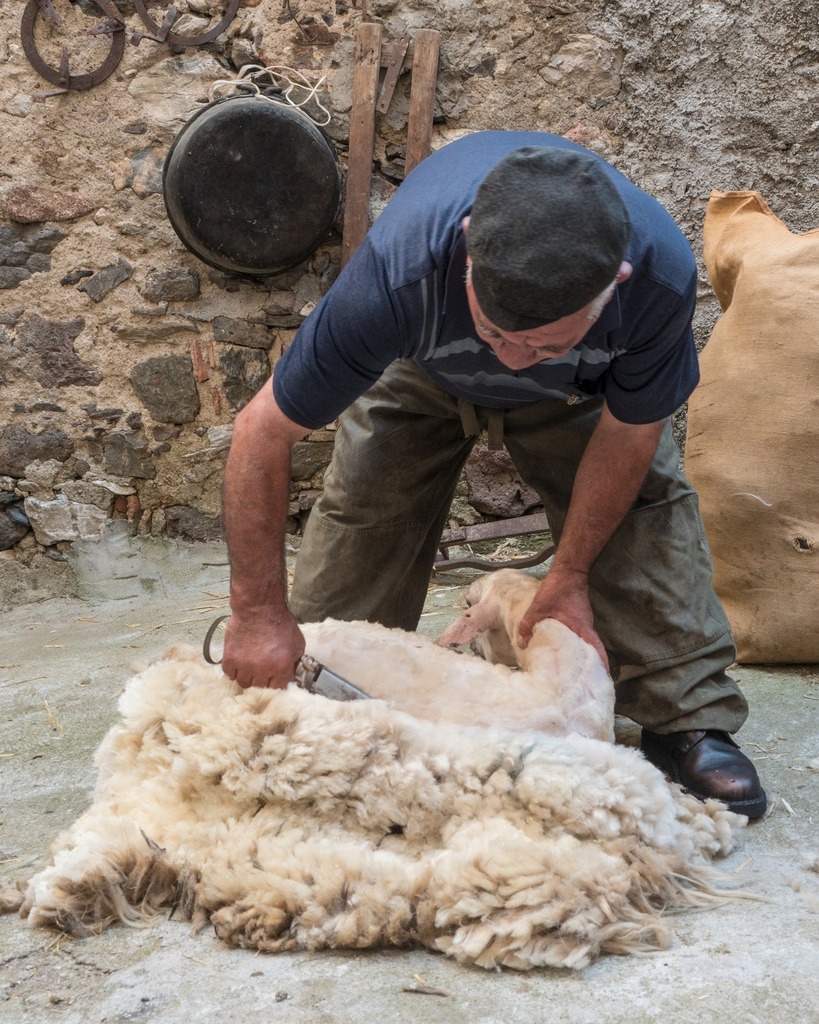 primavera_cuore's tweet photo. #Silanus è un piccolo paese di allevatori e contadini dove i tempi e i ritmi della campagna scandiscono la vita di una comunità dinamica e laboriosa, gode di un clima mite e gradevole per gran parte dell'anno.
La cucina tradizionale è legata alle attivi… https://t.co/HyddHJV0Az https://t.co/atx3G05E72