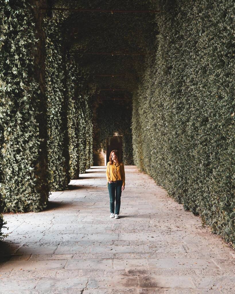 Stratificazioni architettoniche, spoliazioni napoleoniche e fastosi rinnovamenti: con i suoi eleganti giardini, le pregevoli collezioni orientali e gli arredi originali, il Castello di Agliè, con i suoi oltre 7 secoli di storia, è una delle residenze sabaude meglio conservat…