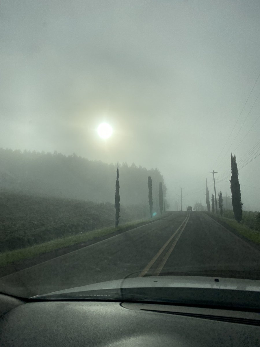 Alexandre Classmann (@aleclassmann) on Twitter photo 