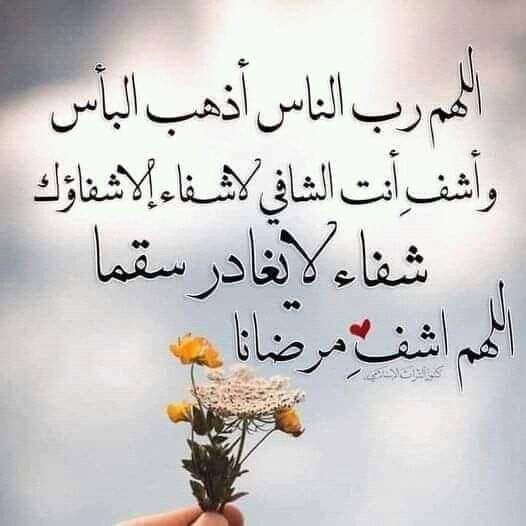 هيبة ملك tweet media