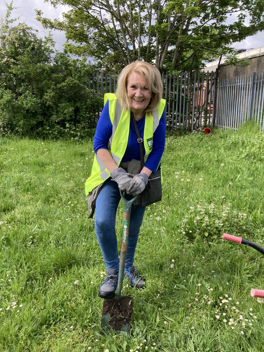 OfSorrel's tweet photo. Volunteers out conserving some ladies bedstraw in Sorrel Park today. Thank you to park Ranger Matthew and his volunteers for leading this session. https://t.co/hREqYmvImv
