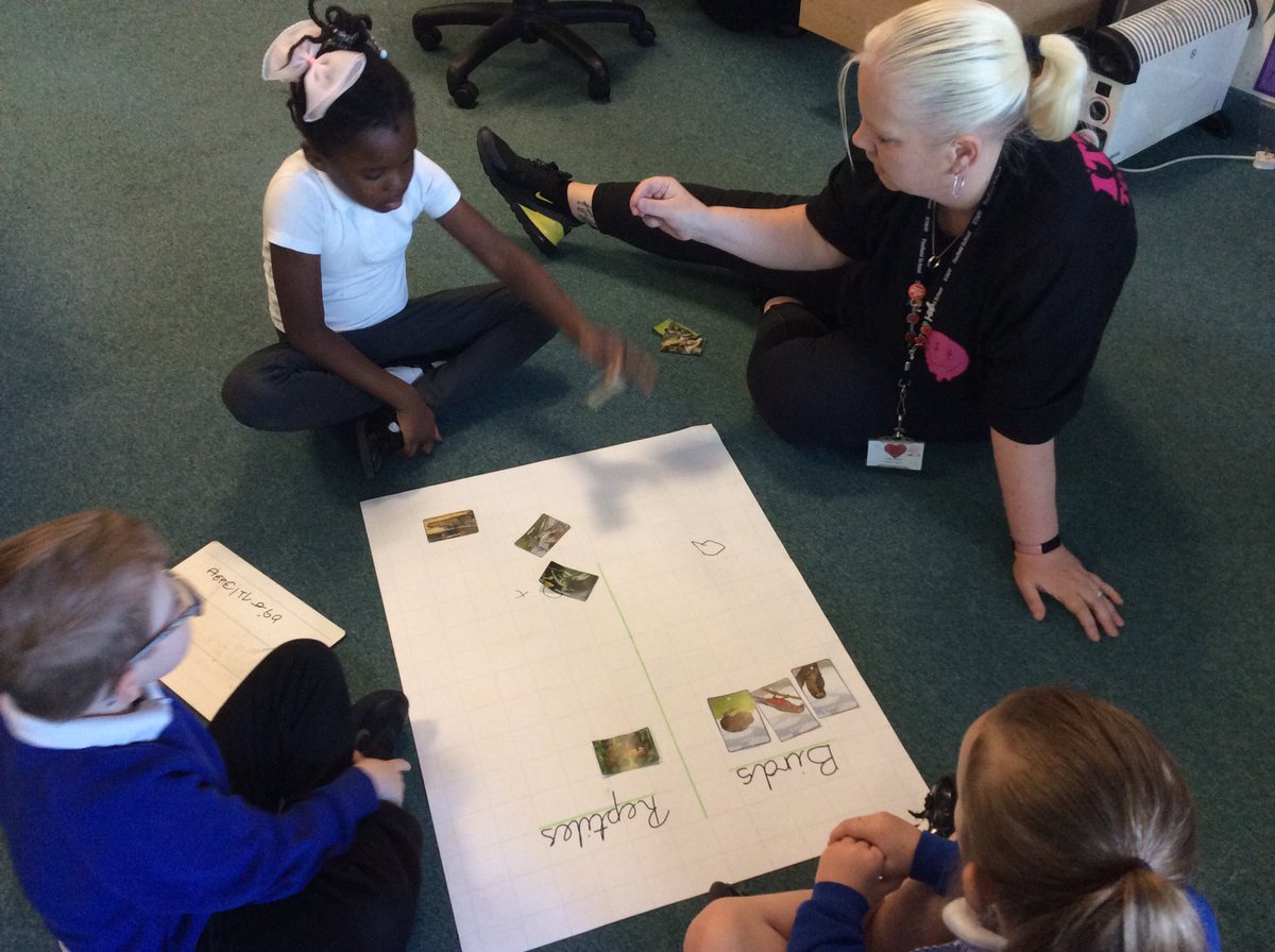 Foxfield Year 1 Juniper tweet media