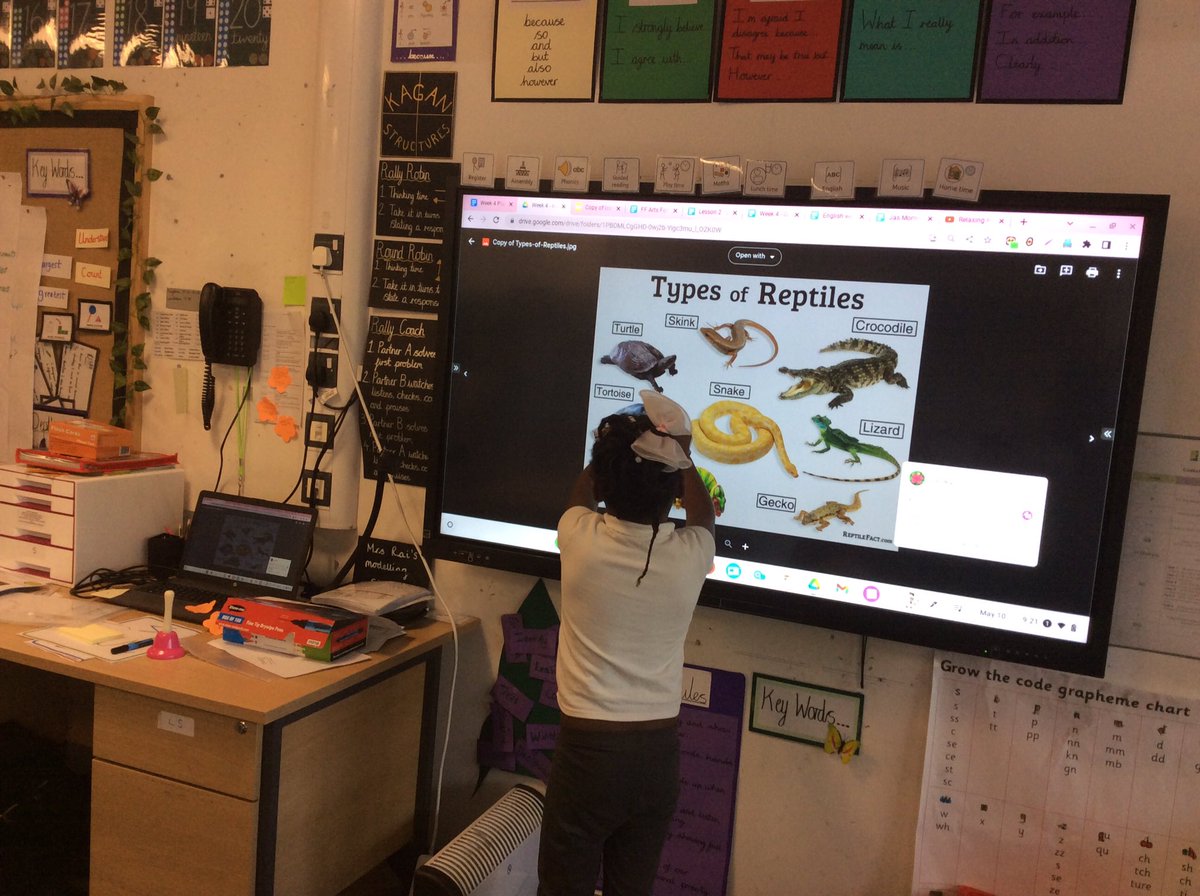 Foxfield Year 1 Juniper tweet media