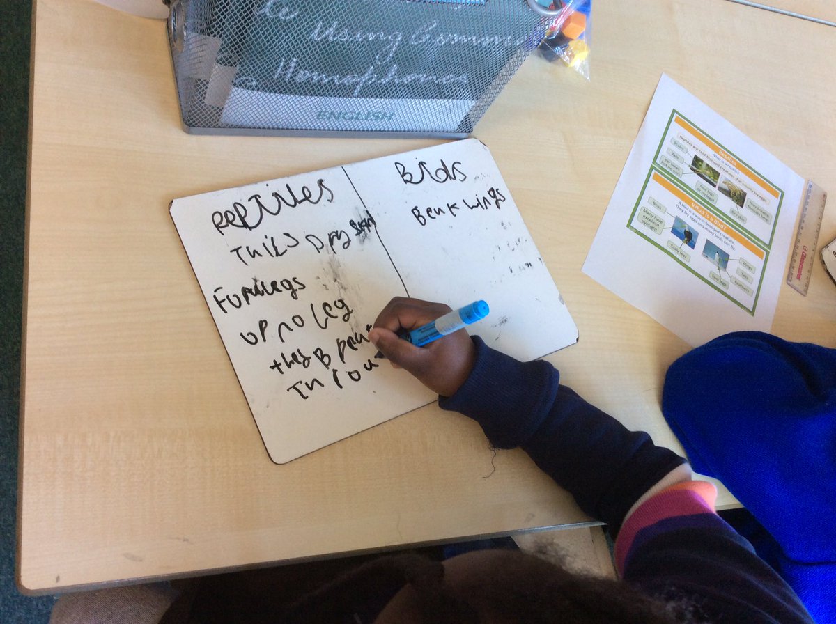 Foxfield Year 1 Juniper tweet media