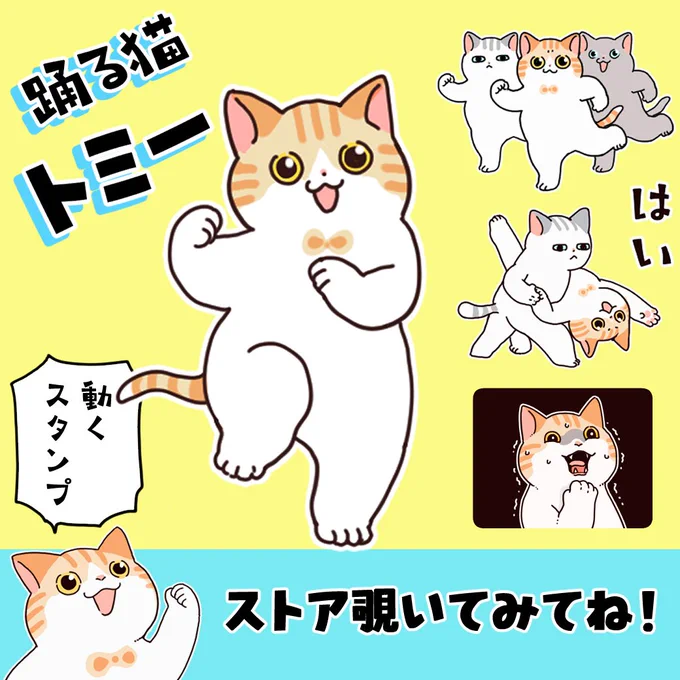 🌟NEW🌟踊る猫トミー 軽快に踊るトミーのスタンプ出ました⇒https://t.co/Nf3GoNAkRJ 