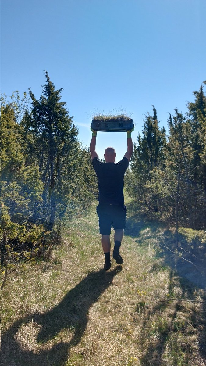 Kadri Koorem tweet media