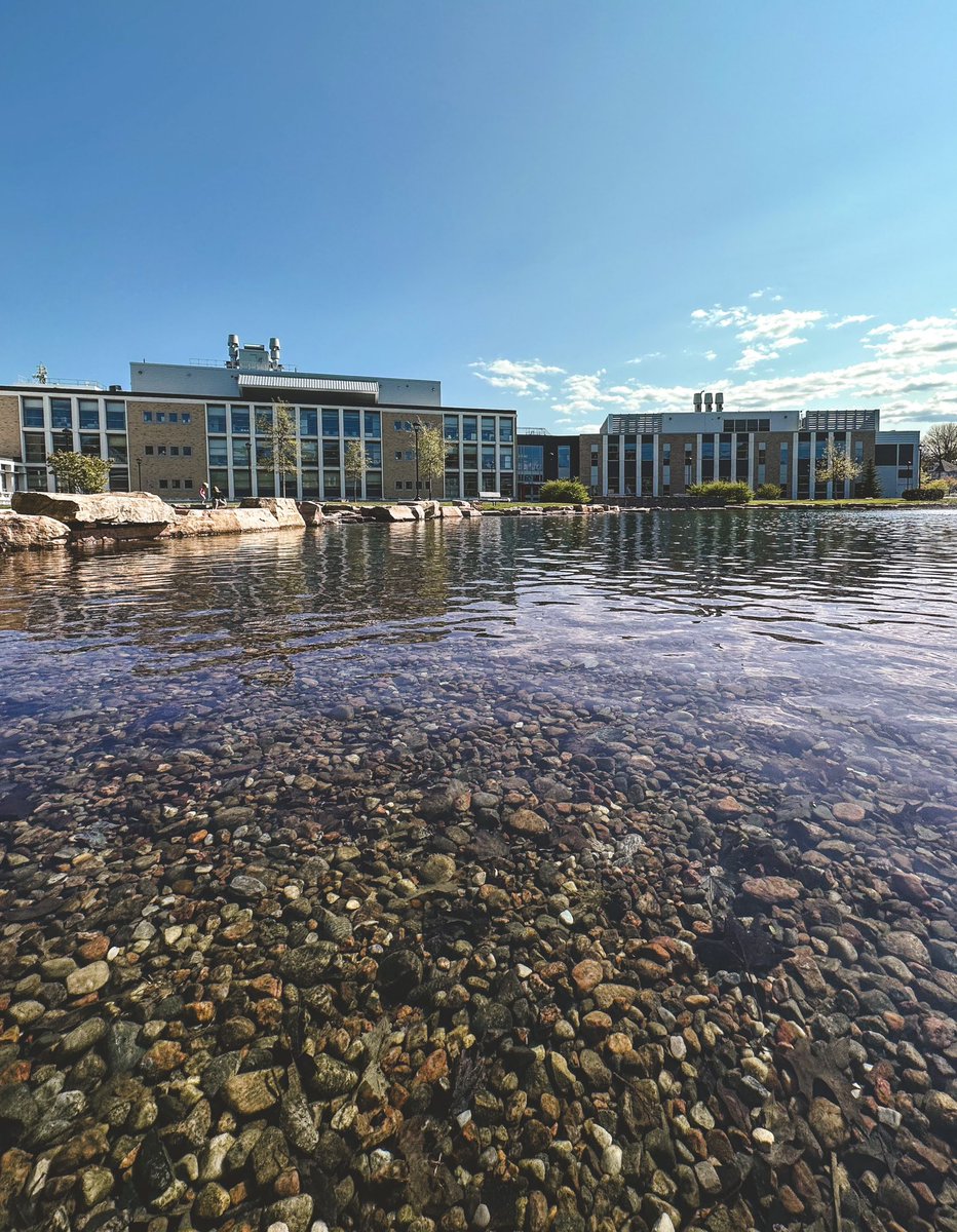 Inorglennistry's tweet photo. Spring has spring around the @SUNYPlattsburgh pond. Hudson is looking good….I can smell the science. https://t.co/j6nJSm2Yy1
