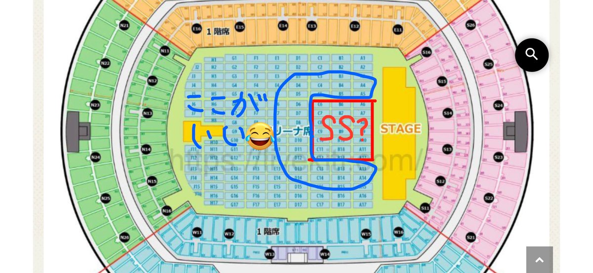 昨日から日産スタジアムの座席表(例)を見てニヤニヤしている変態は私