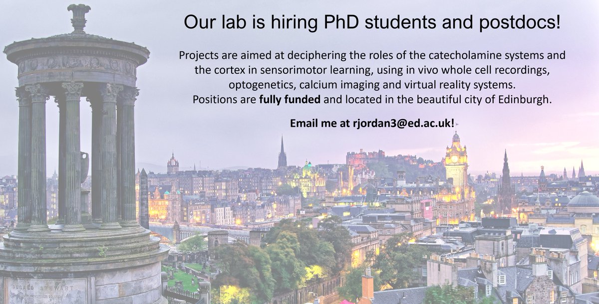 Our lab has multiple positions available: predictionplasticitylab.com/join