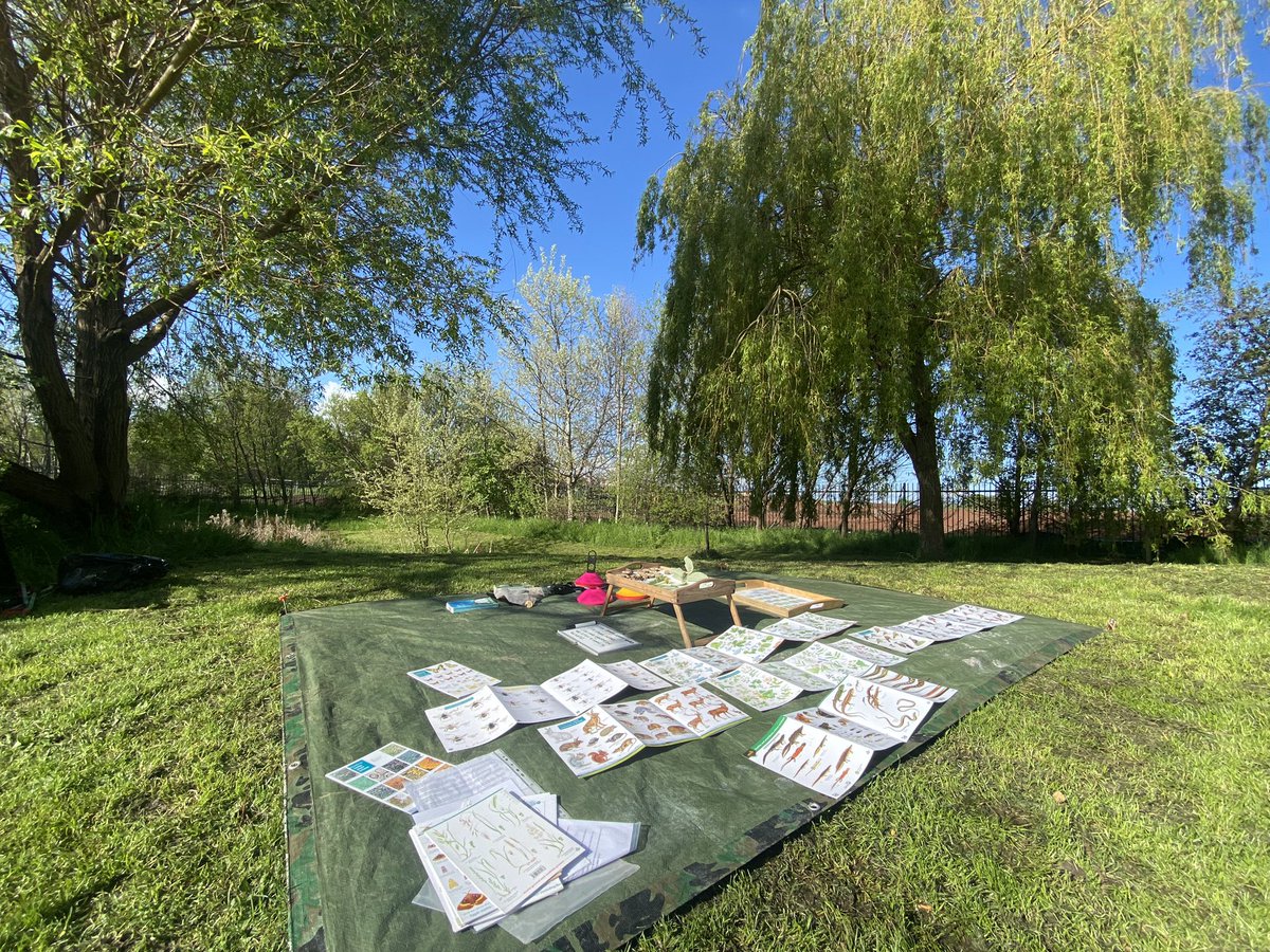 dpsforestschool tweet media