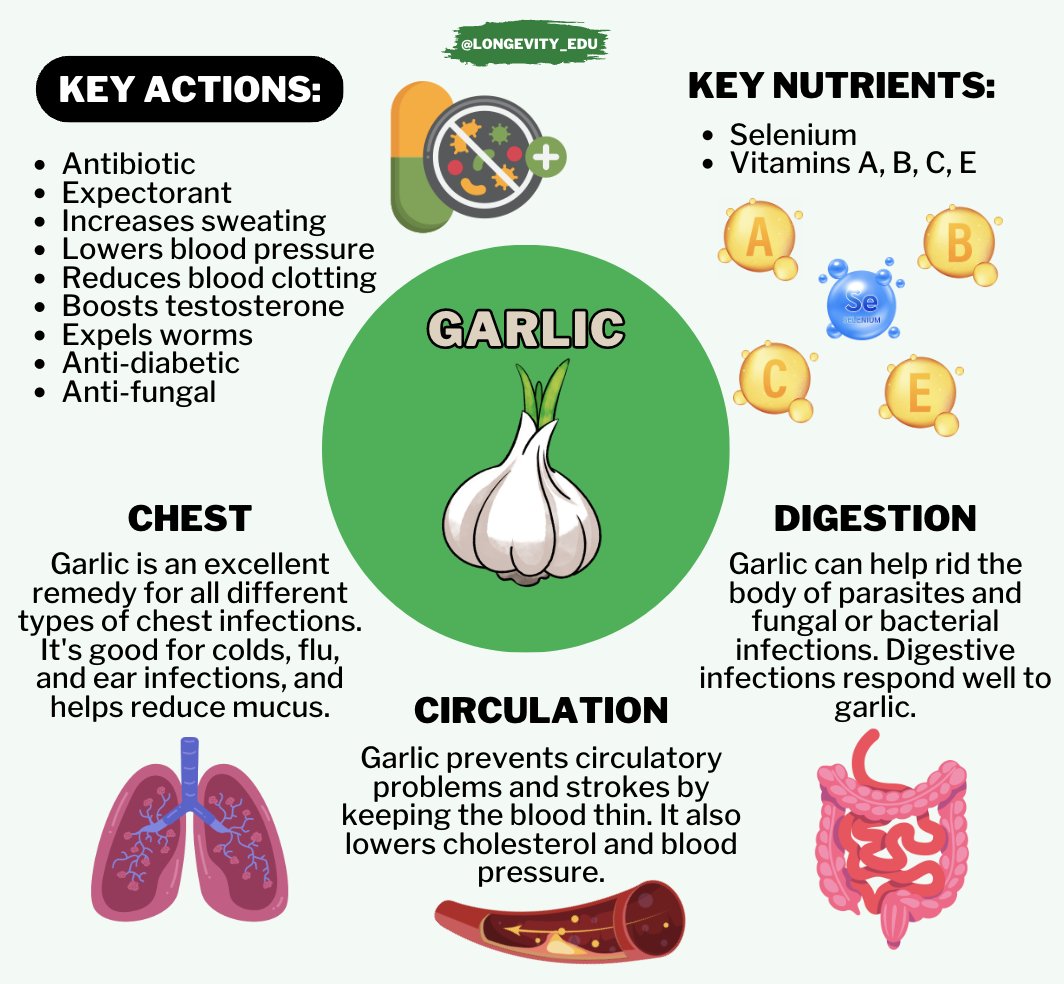Longevity Lifestyle on Twitter "GARLIC has been used in healing for