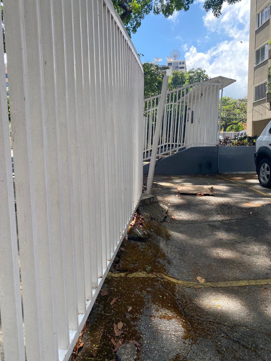 anymarius's tweet photo. Esto representa un problema real para nosotros como comunidad, afecta la estructura, hay un riesgo de caída de ramas a transeúntes y vehículos. @Chacao 
Solicitamos al alcalde @duquegusgavos nos escuche y @chacao_obraspub y @ambientechacao nos apoyen para solucionar éste problema https://t.co/NgnhVTcUKL