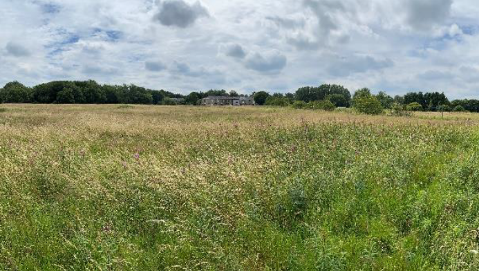Prospects Foundation (@prospects1998) on Twitter photo PROSPECTS Community Energy and <a href="/sharenergy_uk/">Sharenergy</a> are hosting a webinar on Thursday 18th May 2023 at 7pm to talk about the plans for a #solar meadow at Coach Road in #Oswaldtwistle, #Lancashire.
For further details visit: bit.ly/44OFqs1
<a href="/Comm1nrg/">Community Energy England</a> PROSPECTS Community Energy and <a href="/sharenergy_uk/">Sharenergy</a> are hosting a webinar on Thursday 18th May 2023 at 7pm to talk about the plans for a #solar meadow at Coach Road in #Oswaldtwistle, #Lancashire.
For further details visit: bit.ly/44OFqs1
<a href="/Comm1nrg/">Community Energy England</a>