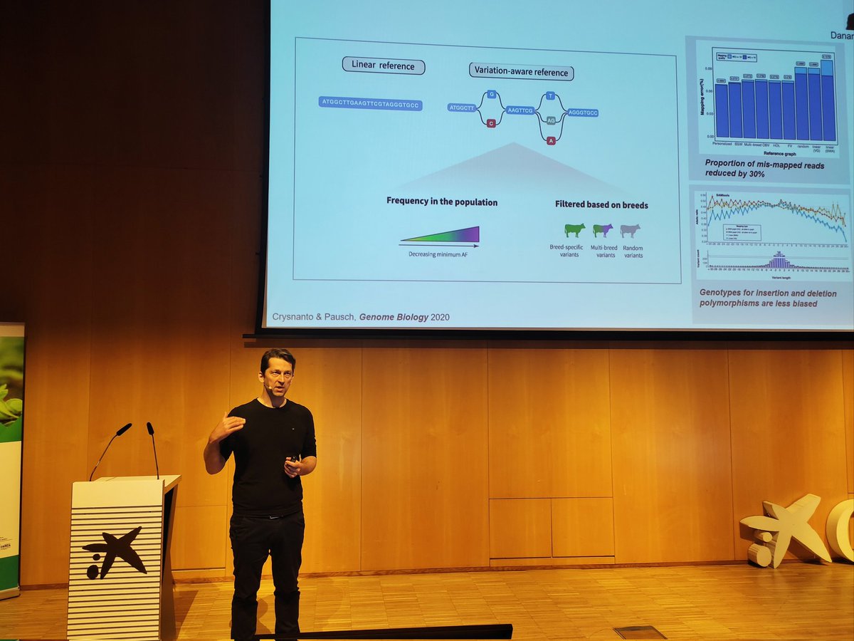cragenomica's tweet photo. Now hearing about how pangenome approach in cattle resolves bias in reference-guided analysis ๐
๐งโ๐ฌ followed up with research in crop improvement by Inari company
๐ and ideas on harnessing regulatory variants for livestock improvement ๐๐๐
#BreedingConference23 https://t.co/E4OauQpjEJ