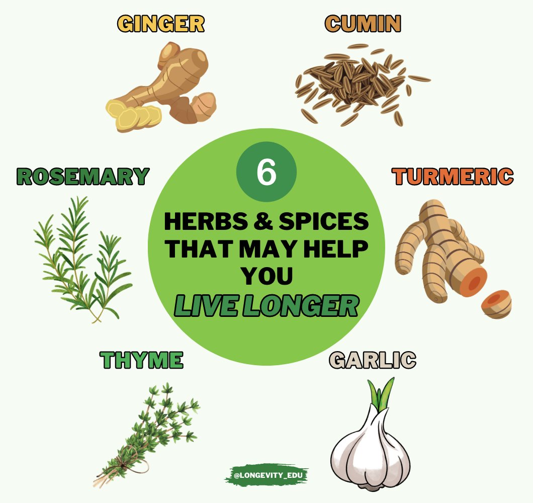the-easiest-healthy-habit-is-learning-to-cook-here-are-6-herbs