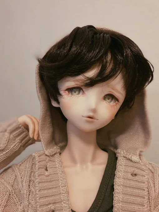 わたしは最初テヤンから入って→MSD男子をフルチョして→大きいSDお兄さん→switchにハマり→しばらく経って突然ピュアニーモ男子にハマり→カスタムしてるうちにヘッド作りたくなってヘッド作りにハマり→それもそろそろまた熱が弱火になりかけていた今、とつぜんDD男子に熱が上がり始めたとこ…。
