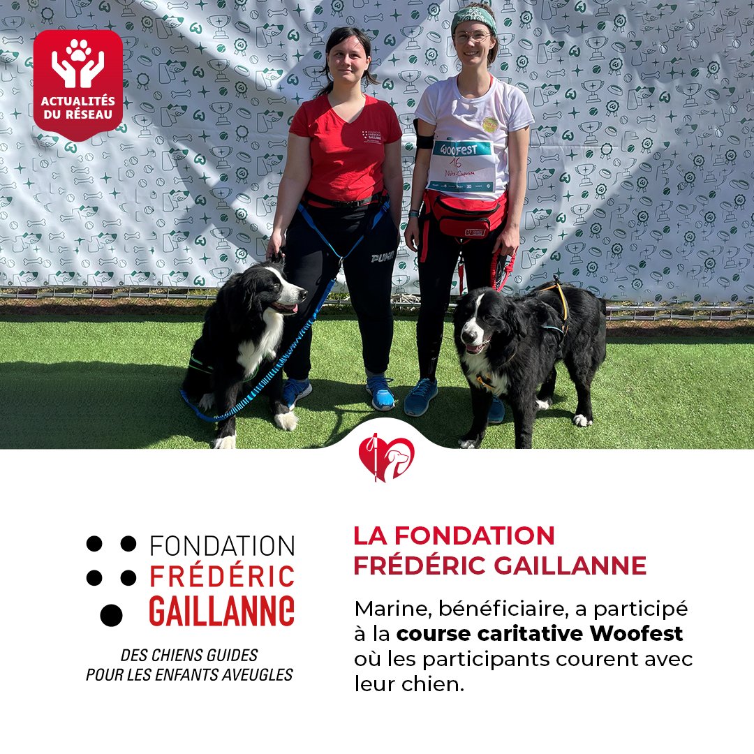 FFAChiensguides's tweet photo. La @Fondation_FG a participé à l'événement #Woofest en avril dernier.
C'est une #CourseCaritative où les participants courent avec leur chien pour soutenir une association de leur choix. 🐾 https://t.co/Zri0LGoprF